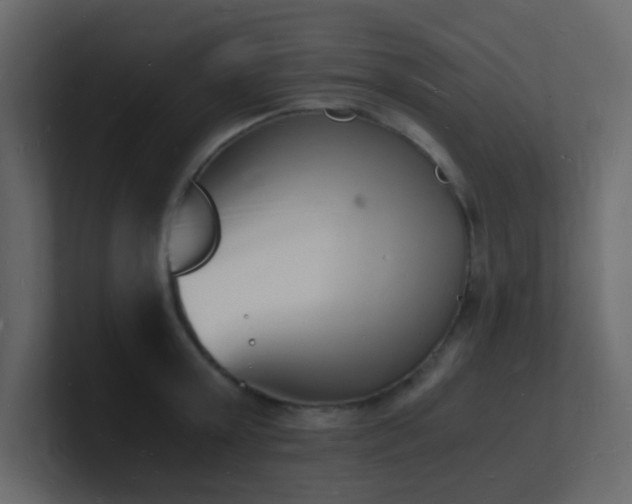 X0000101670803200807101359