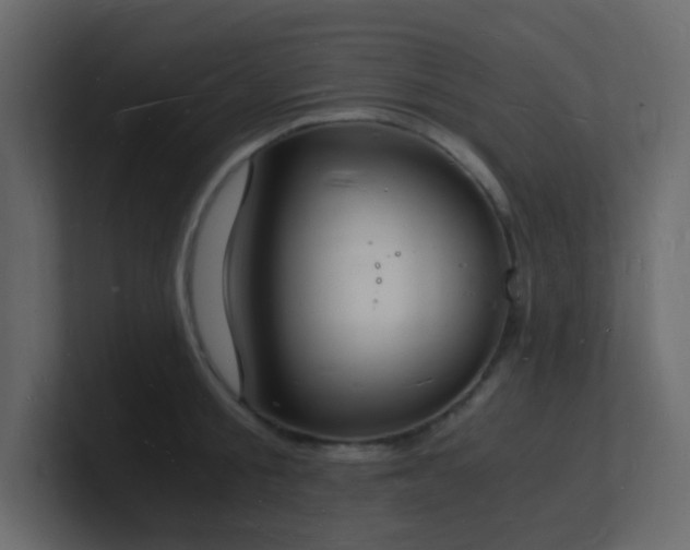 X0000101670805200807101359