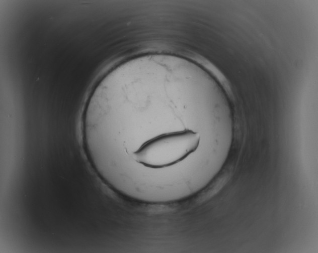 X0000101670807200807101359