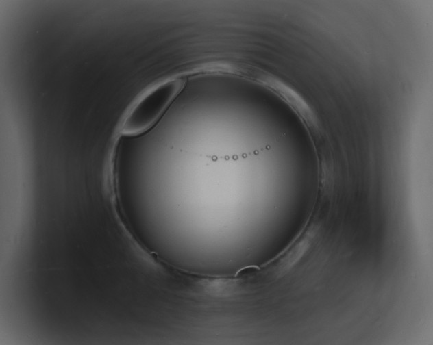 X0000101670808200807101359