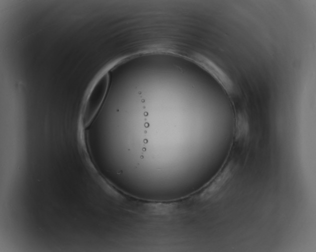 X0000101670812200807101358