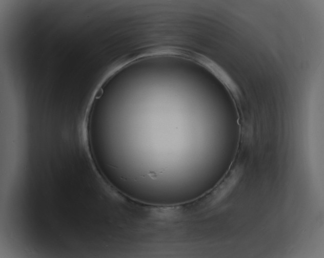 X0000101670813200807101358