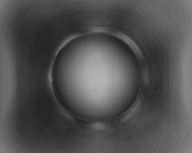 X0000101670814200807101358
