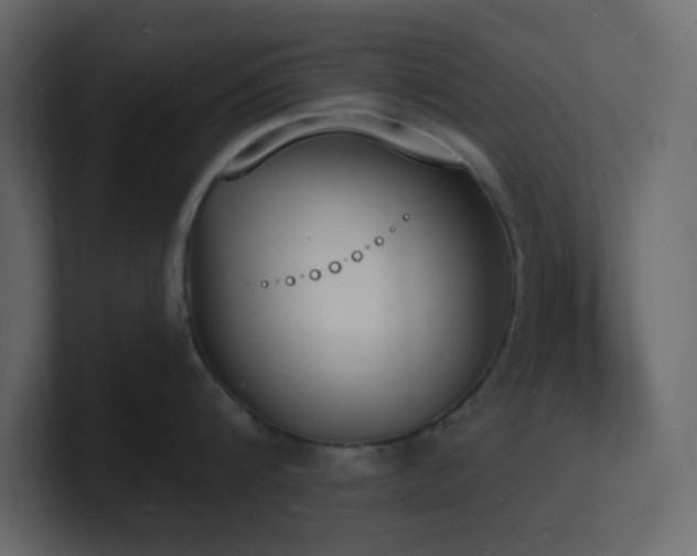 X0000101670816200807101358