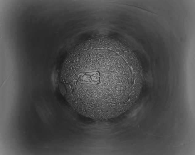 X0000101670818200807101358