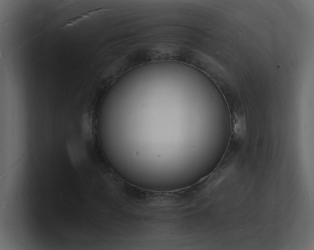 X0000101670819200807101358