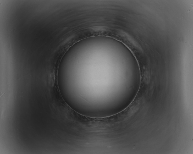 X0000101670821200807101358