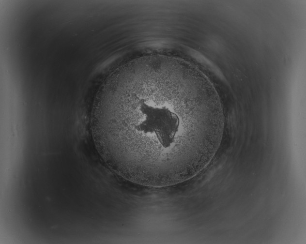 X0000101670822200807101358