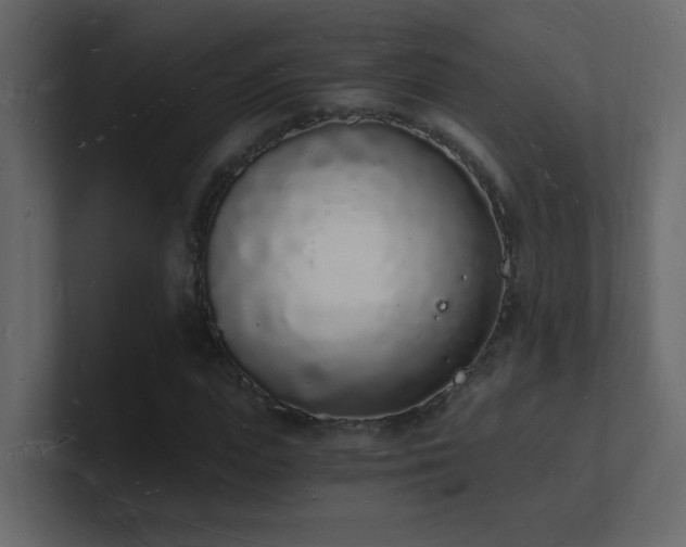 X0000101670823200807101358