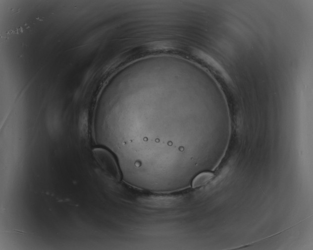 X0000101670825200807101358