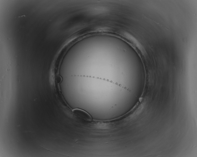 X0000101670827200807101358