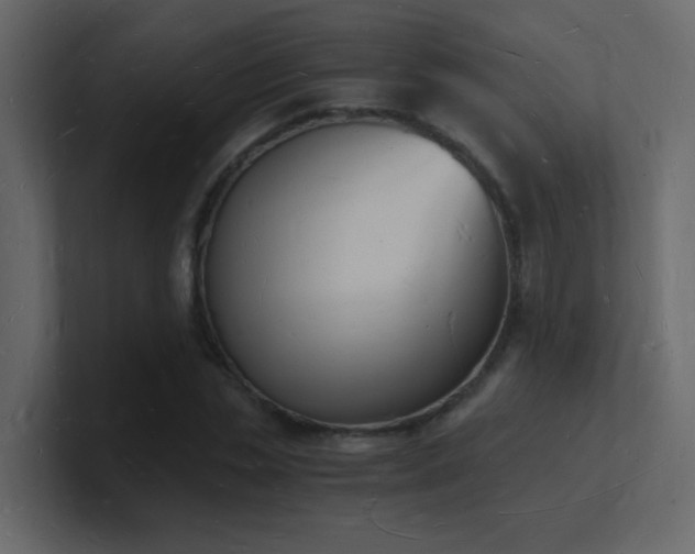 X0000101670829200807101358