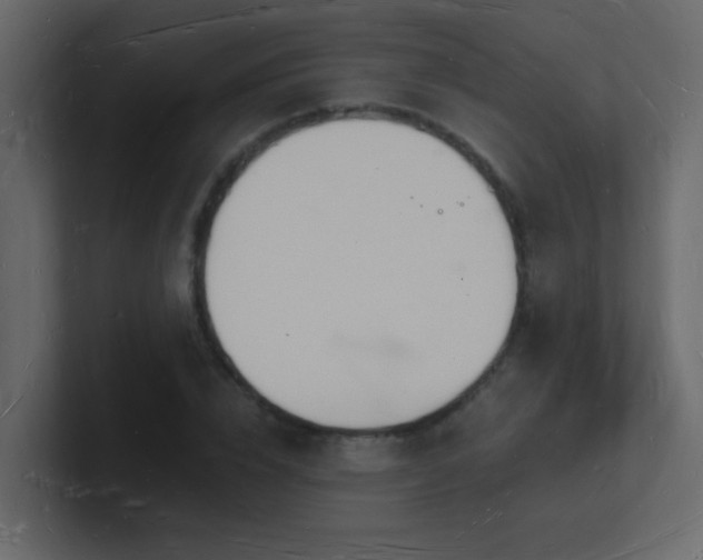 X0000101670832200807101358