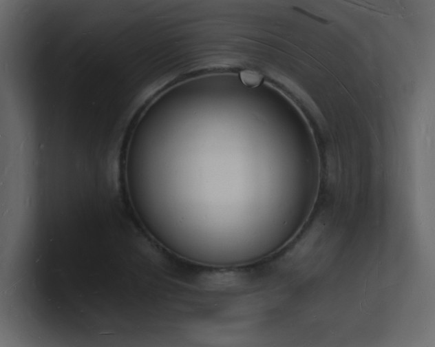 X0000101670834200807101358