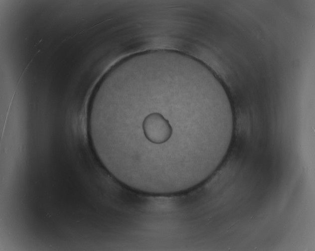 X0000101670836200807101358