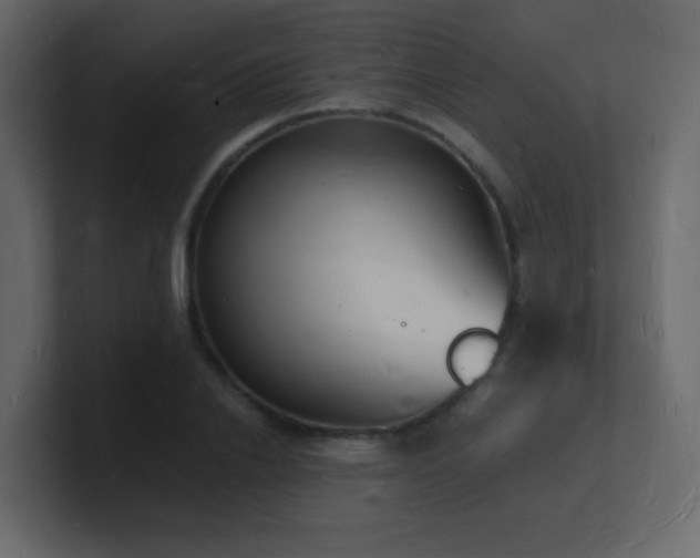 X0000101670838200807101358