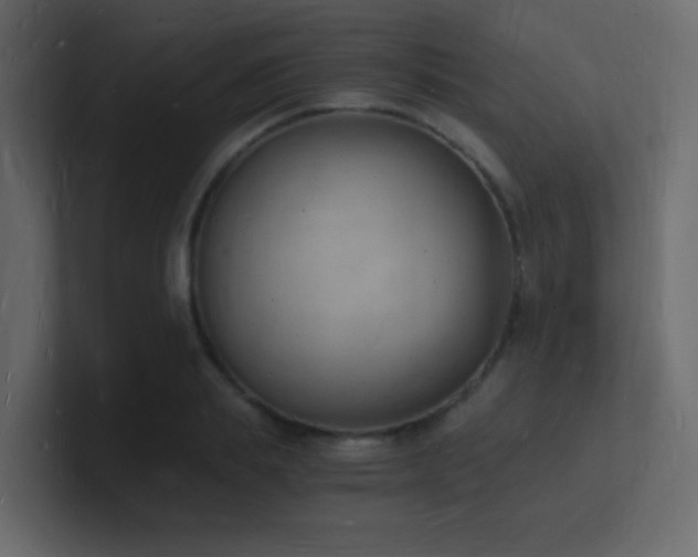 X0000101670839200807101358