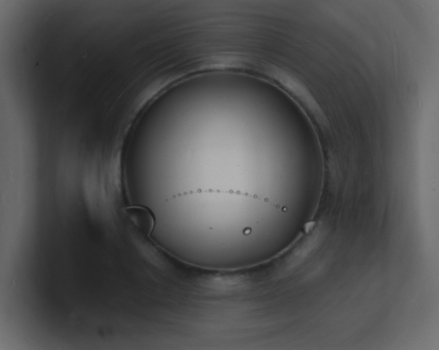 X0000101670842200807101358