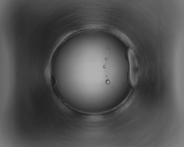 X0000101670844200807101358