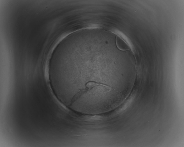 X0000101670851200807101358