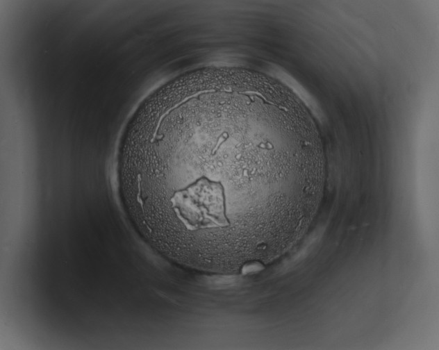 X0000101670853200807101358