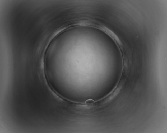 X0000101670855200807101358