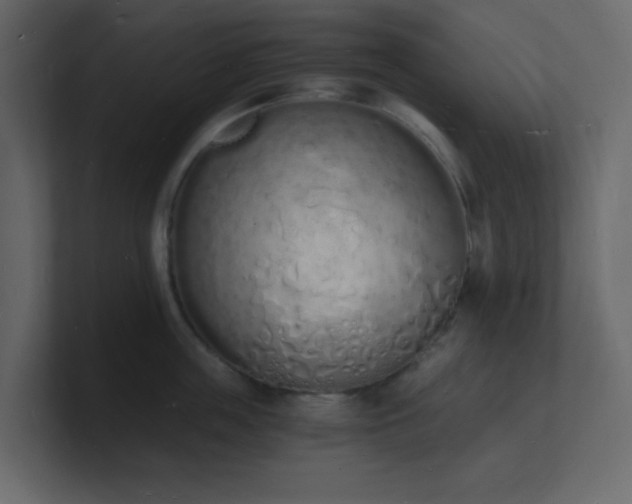 X0000101670859200807101358