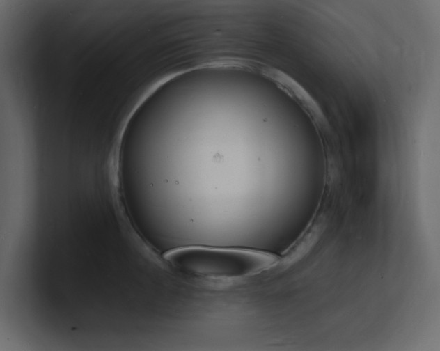 X0000101670860200807101358