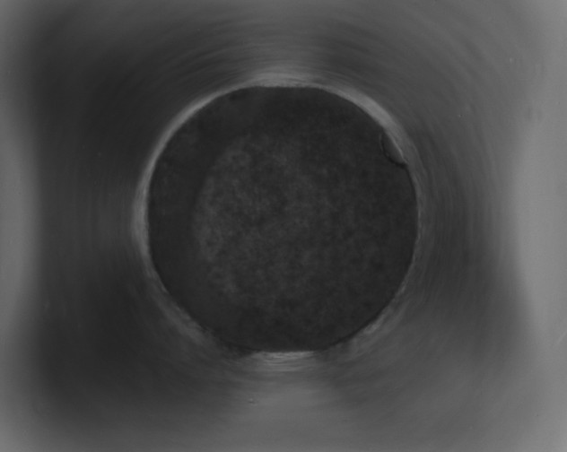 X0000101670864200807101358