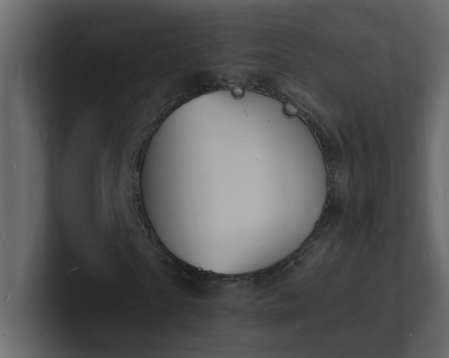 X0000101670865200807101358
