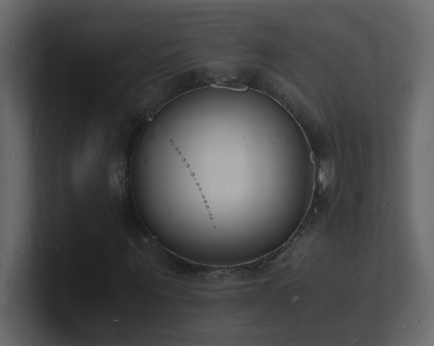 X0000101670867200807101358