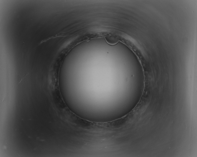 X0000101670871200807101358