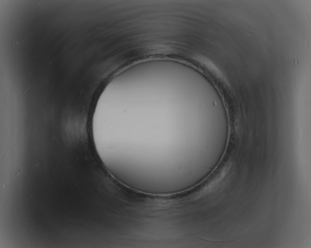 X0000101670873200807101358