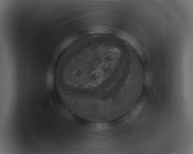 X0000101670874200807101358