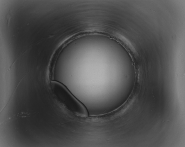 X0000101670876200807101358