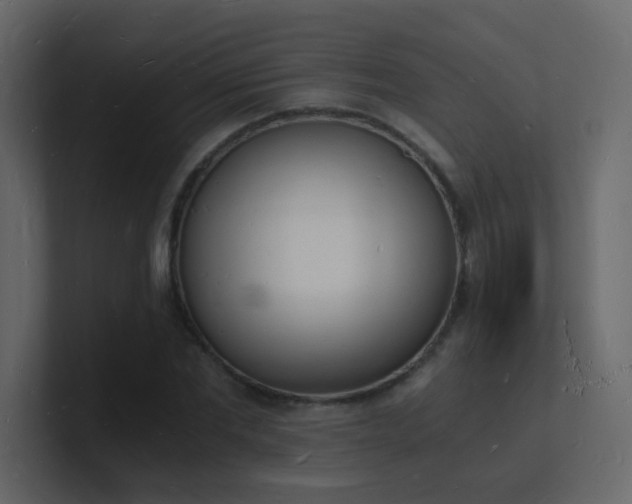 X0000101670877200807101358