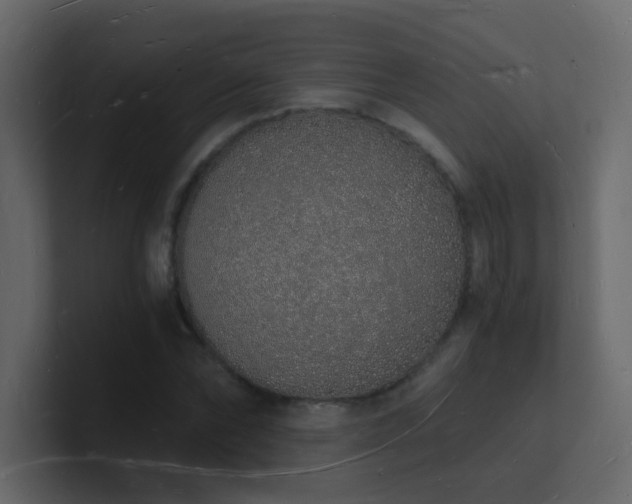 X0000101670878200807101358
