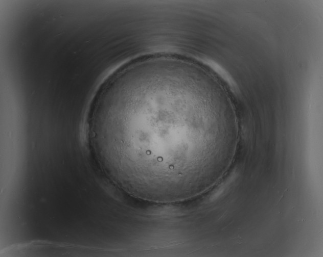 X0000101670879200807101358