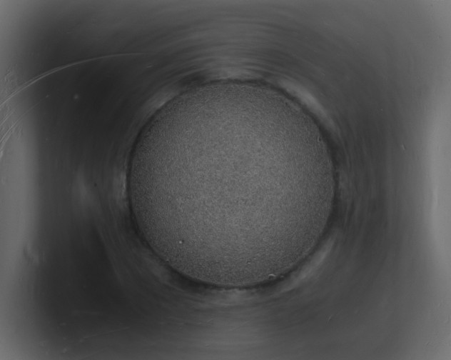 X0000101670881200807101358
