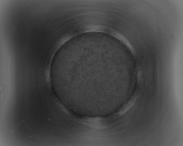 X0000101670882200807101358
