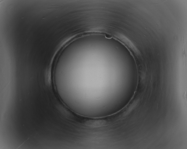 X0000101670884200807101358