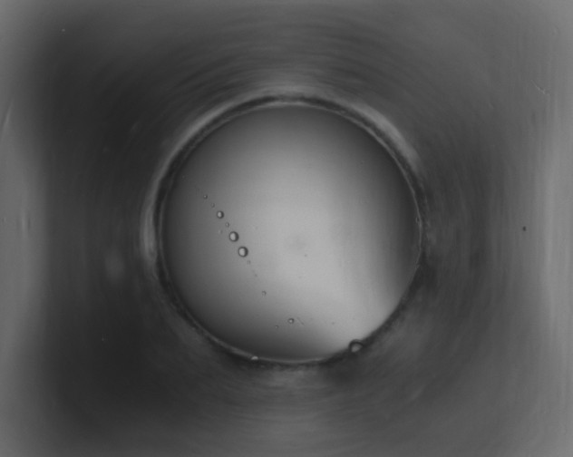X0000101670887200807101357