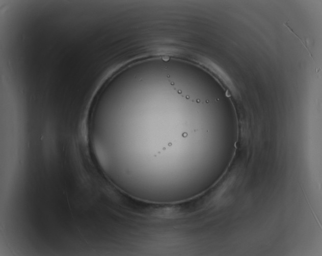 X0000101670891200807101357