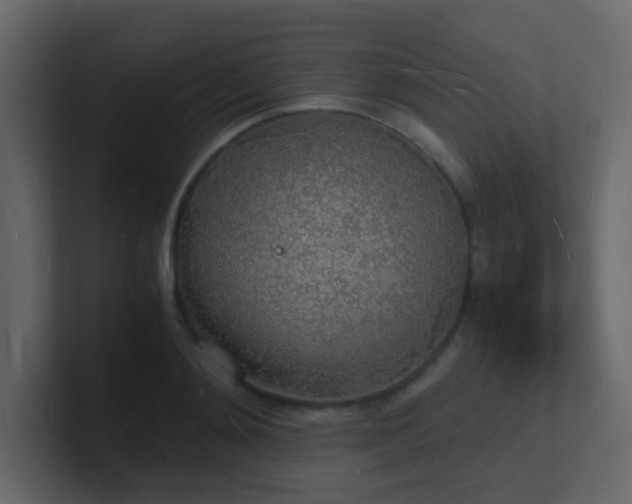 X0000101670892200807101357