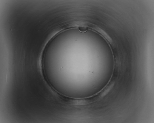 X0000101670893200807101357
