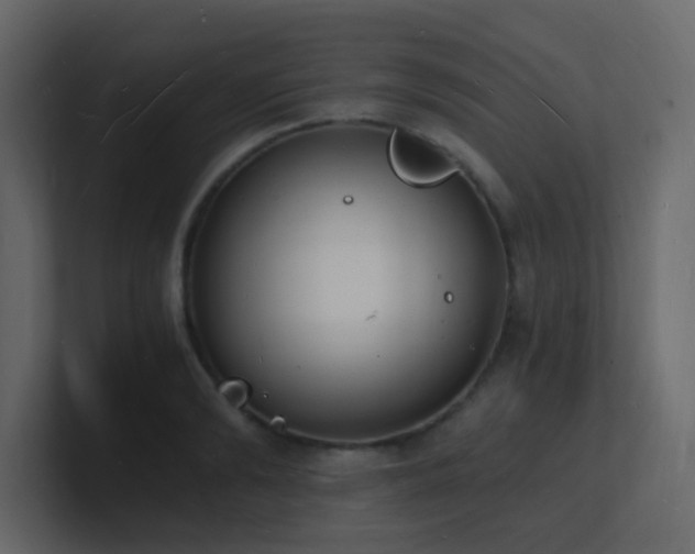 X0000101670894200807101357