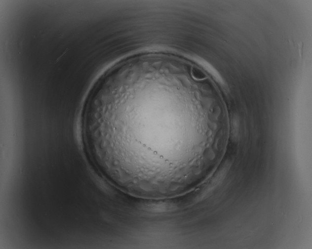 X0000101670895200807101357