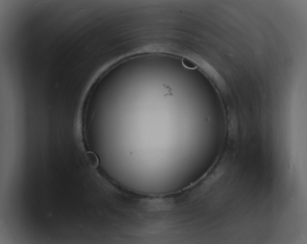 X0000101670896200807101357