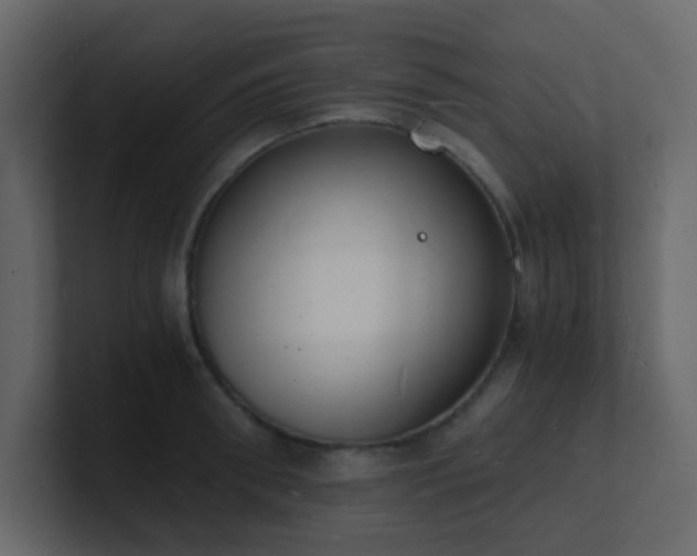 X0000101670898200807101357