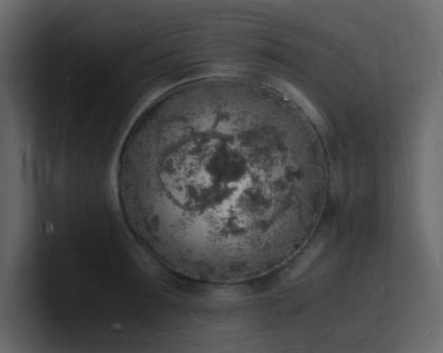 X0000101670899200807101357